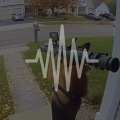 weź zapomnij (prod.noose & prodoskar)