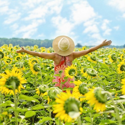 A Sunny Day