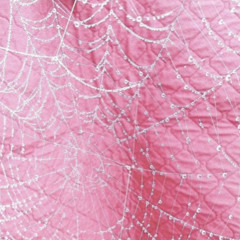 10k Moss & Wxvy Jackson - P!nk (Prod. Silvr + SSilvrcity) ⁂@Murakamirug Exclusive ⁂