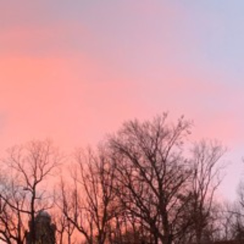 Experimental4_FF