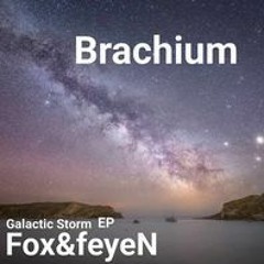 Fox&feyeN - Brachium