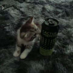 nope youre too late i already died (tom cover)