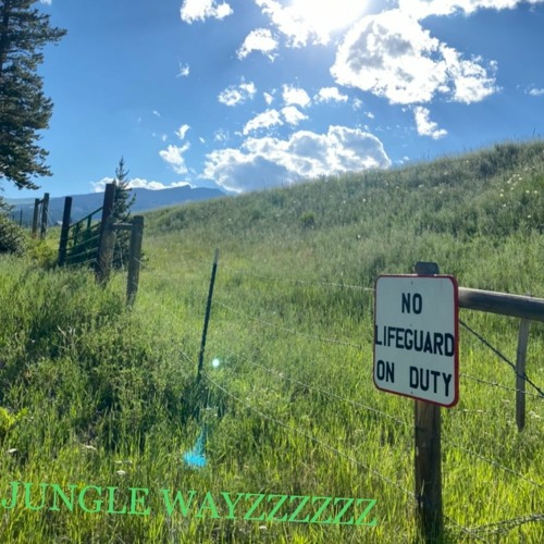 JUNGLE WAYZZZZZ
