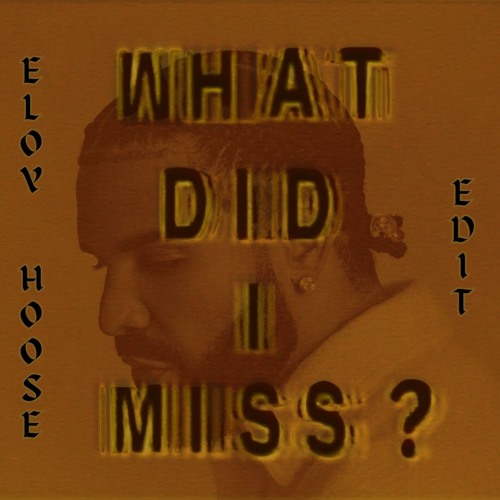 Drake - What Did I Miss? (Eloy Hoose Extended Edit)