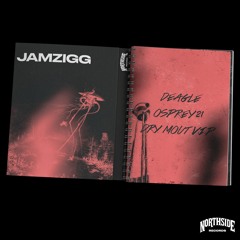 JAMZIGG - DRY MOUT V.I.P