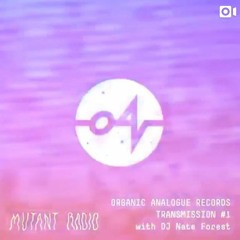 Organic Analogue Transmission w.  DJ Nate Forest
