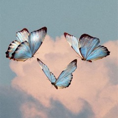 BUTTERFLIES