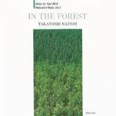 Takatoshi Naitoh (内藤孝敏) - In The Forest (1993) [Full Album]