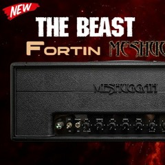 Mesh High Input Presence 4