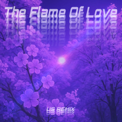The Flame Of Love (US REMIX)