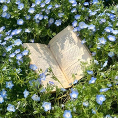 nháp - cuối chương tiểu thuyết