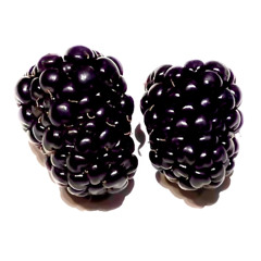 Blackberries