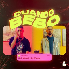 Chris Wandell Ft Jay Wheeler - Cuando Bebo