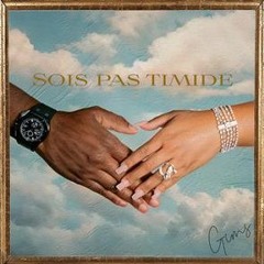 GIMS - Sois pas timide (AMAPIANO REMIX)