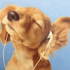 Bags In ft. Rroxket (Rroxket only version)