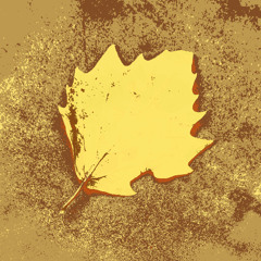 A Life Shrouded by Ashes