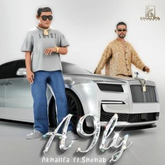 A9ly (feat. Shehab)