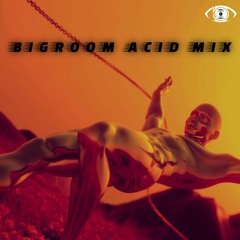 Bigroom Acid Mix