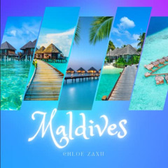 [READ] PDF 💓 Maldives: A Beautiful Print Landscape Art Picture Country Travel Photog
