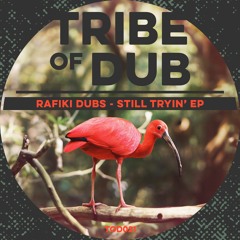 Rafiki Dubs - Still Tryin' EP (TOD021)