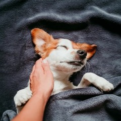 Nothing To Do (Live)