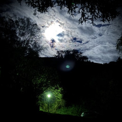 (EP2K24)sentinelsunami - so high