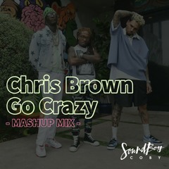 30 MIN CHRIS BROWN - GO CRAZY MASHUP MIX