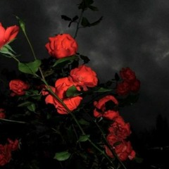 FUNERALS - BURY ME IN RED Ft. HXNJV [prod. ETERNAL RAIJIN]