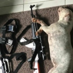 == TROPA DO REX COM A GLOCK DE ROUPA - BAILE DA ARGÉLIA (MLK ATREVIDO & DJ W.O)