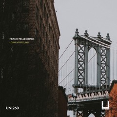 Frank Pellegrino - Losin' my feeling (Original Mix)[UNITY RECORDS]