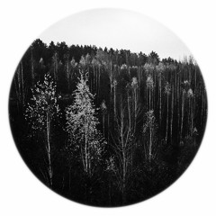 Premiere: Baltimore Chop - Riding Alone [PRGVSK]