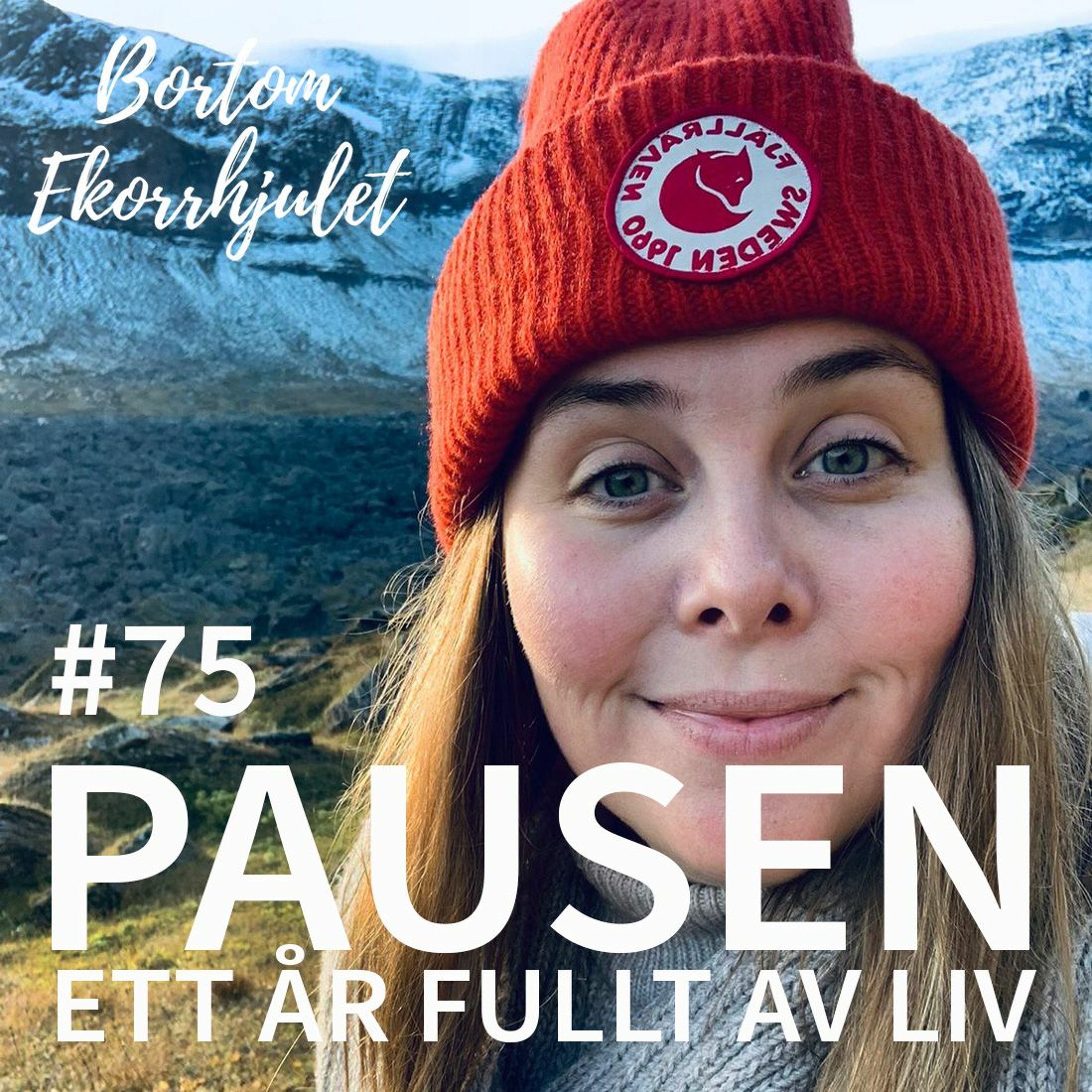 75. Pausen - ett år fyllt av liv