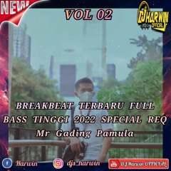 BREAKBEAT TERBARU FULL BASS TINGGI 2022 SPECIAL REQ Mr Gading Pamula VOL 02