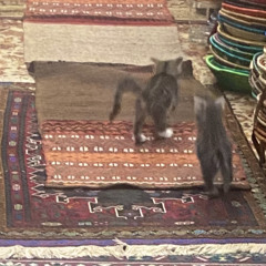 ‎⁨اغاني عراقيه  بعد الجنه عن ابليس  اموت احسن.⁩