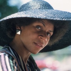 Soul Food Course 1: Al Green, Bobby Womack, Raphael Saadiq, Etta James, Minnie Riperton, Lee Fields