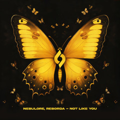 Nebulore, Reborda - Not Like You [Journey of the Soul]