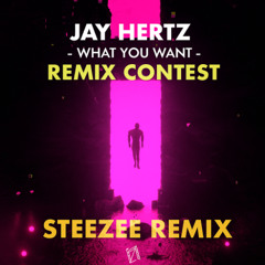 Jay Hertz - What You Want (SteeZee Remix) [Remix Contest Entry]
