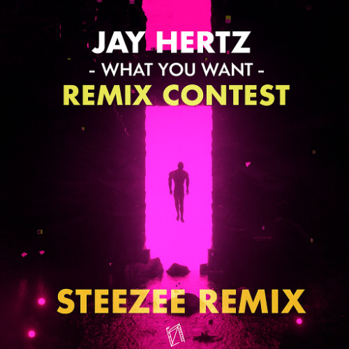 Jay Hertz - What You Want (SteeZee Remix) [Remix Contest Entry]