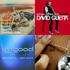 Mierdecilla enyesada