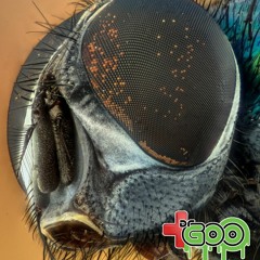 One Of The Flyest