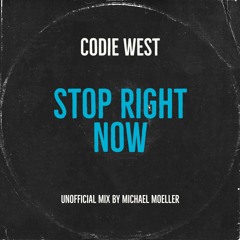 Codie West - Stop Right Now (unofficial mix by Michael Moeller)