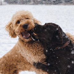 An der Lenne - Wo Freundschaft begann