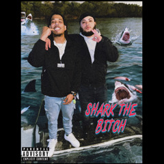 SHark THe BiTch (REMIX)