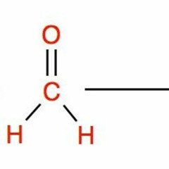 Rene Rondi - Synthese