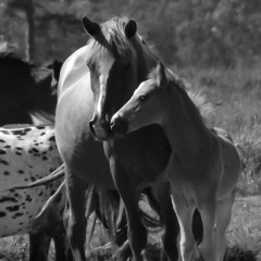 Is this how it feels? (top line practise)