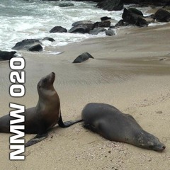 NMW 020 8/25/21