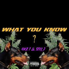 WHAT YOU KNOW (feat. STILL J) OKZ 1
