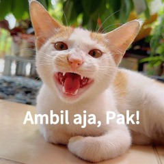 Ambil aja, Pak!