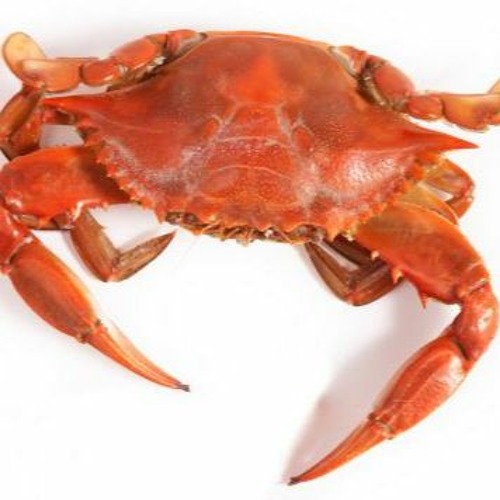 GO