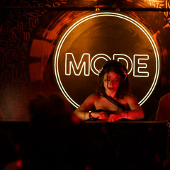 Holiday Seasoned - 2025